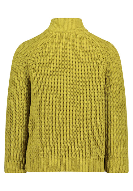 Strickpullover - Stehkragen