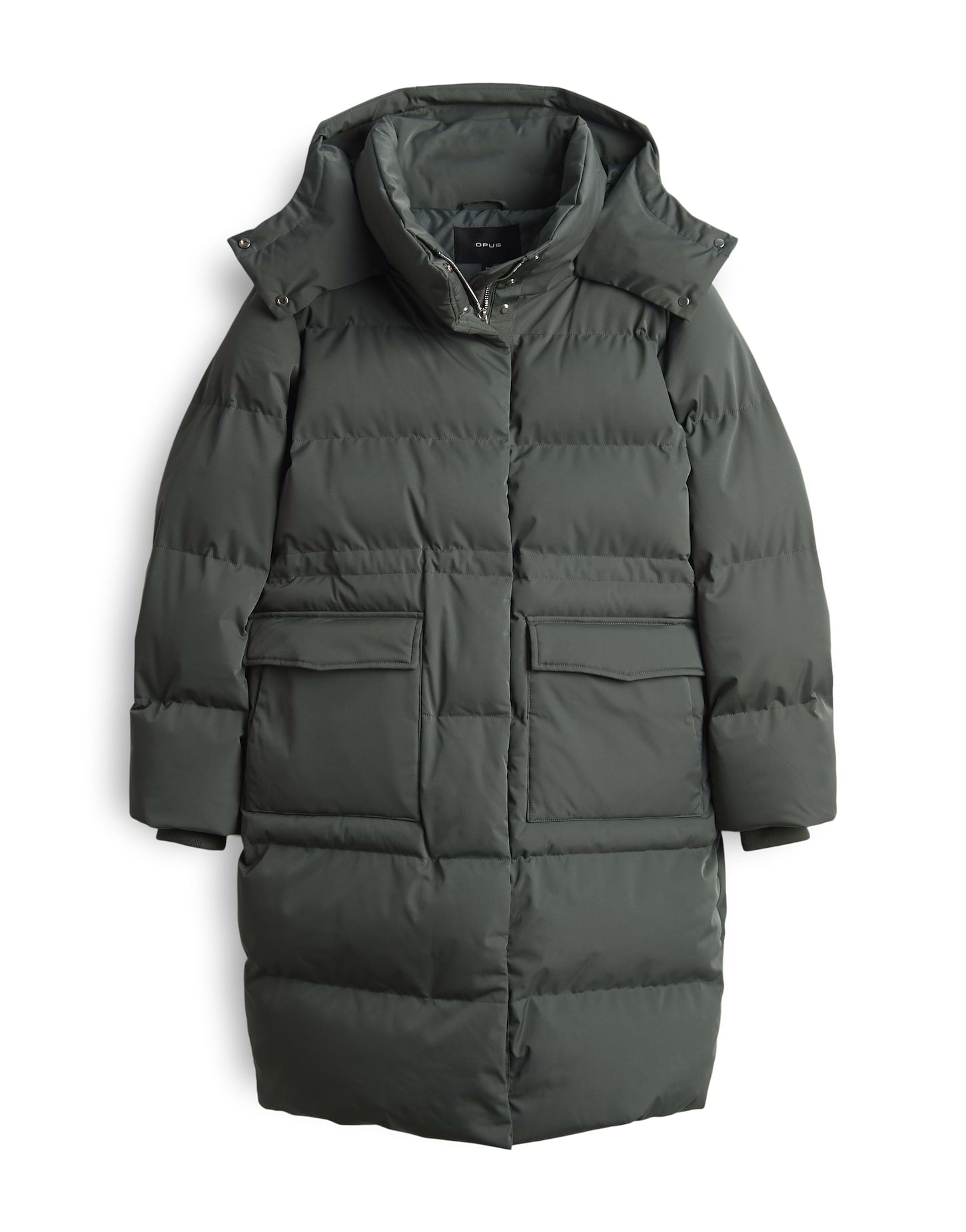 Steppmantel - Hallusi