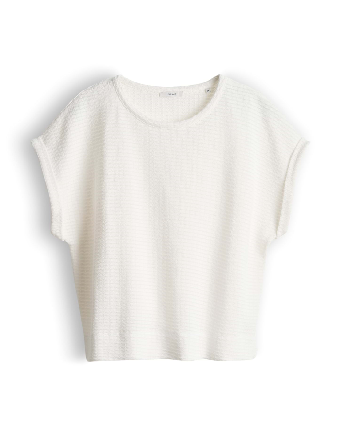 T-Shirt - Sishell