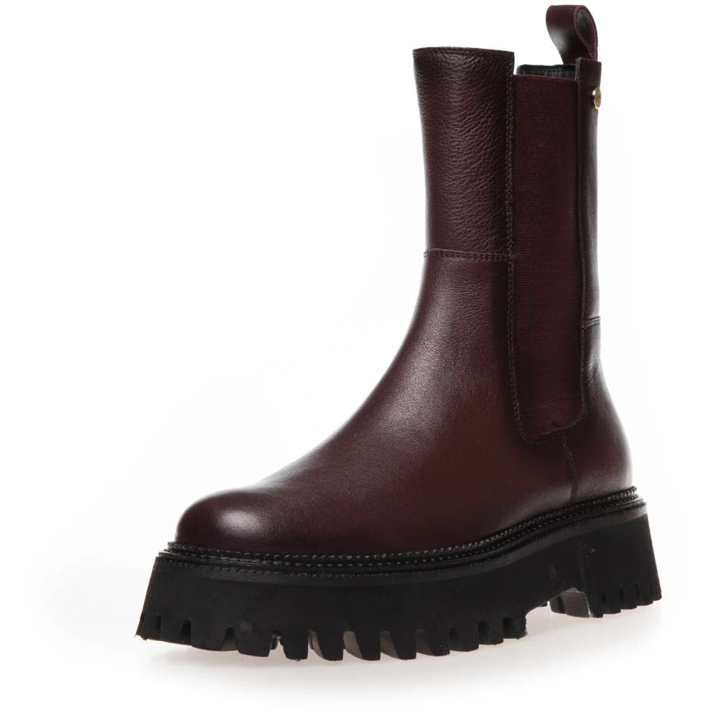 Chelsea Boots - LEMON EDITION BORDEAUX