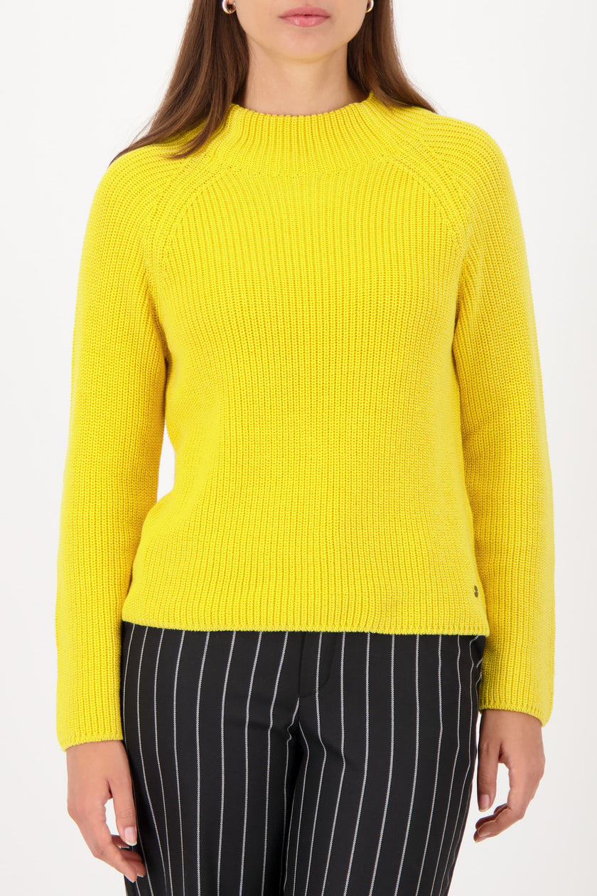 Pullover - Stehkragen