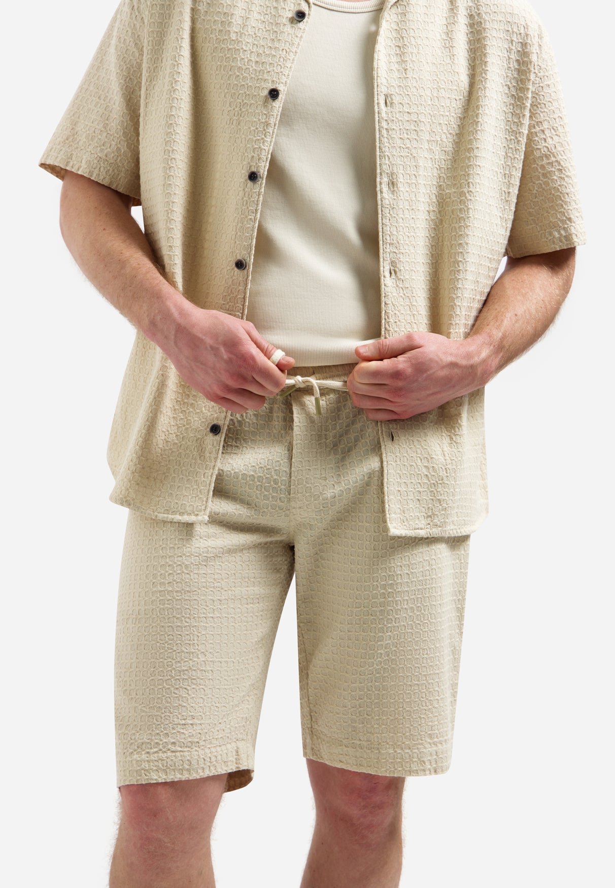 Shorts - Chino