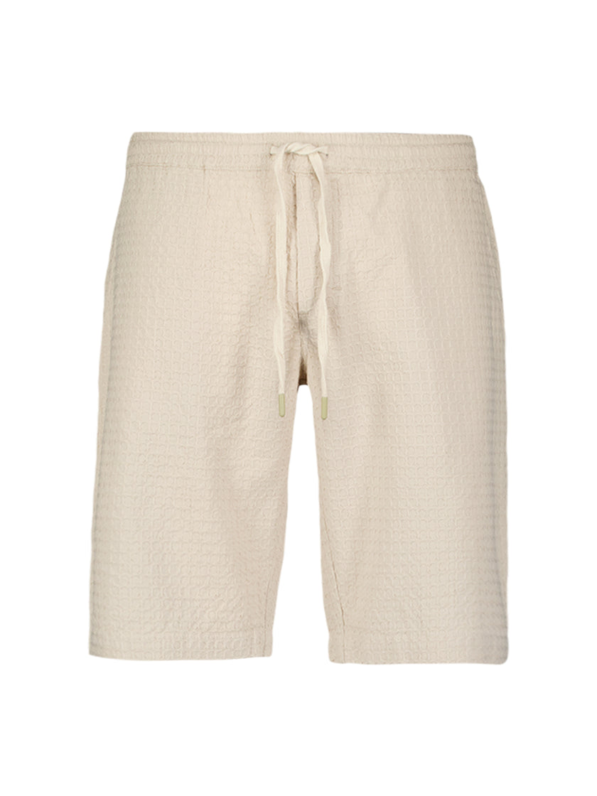 Shorts - Chino