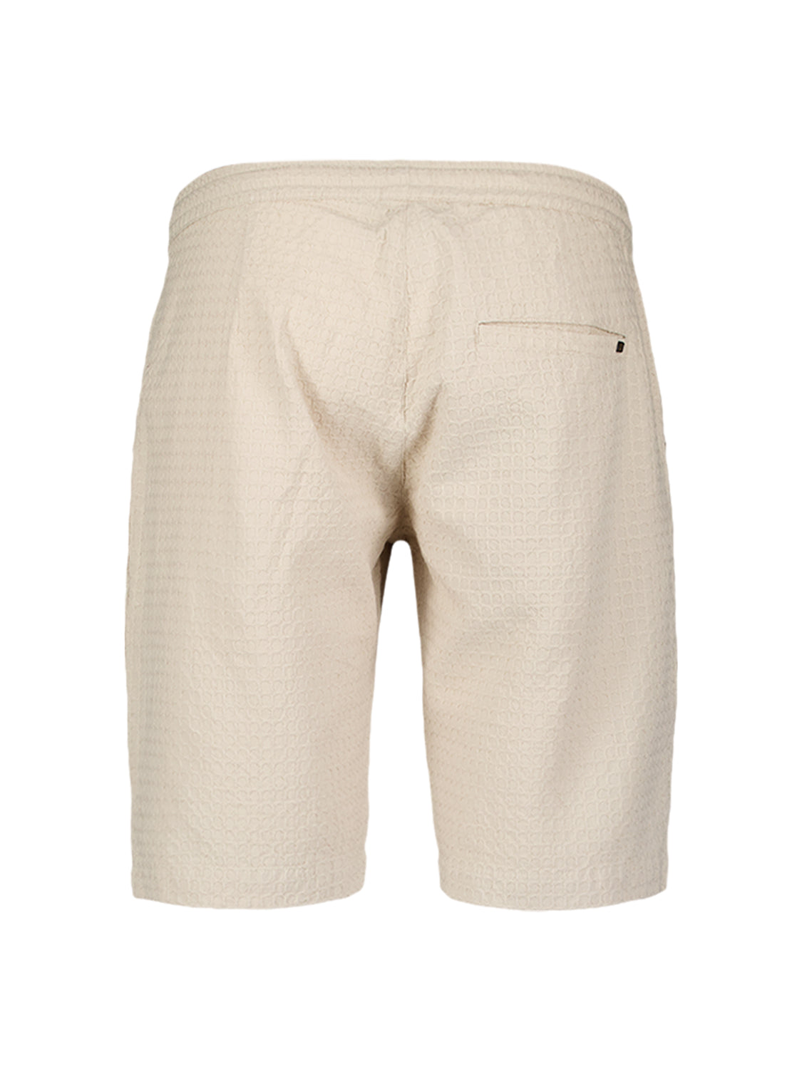 Shorts - Chino