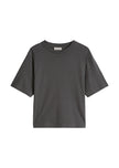 Shirt - Basic