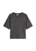Shirt - Basic