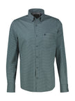 Hemd - Button Down Kragen