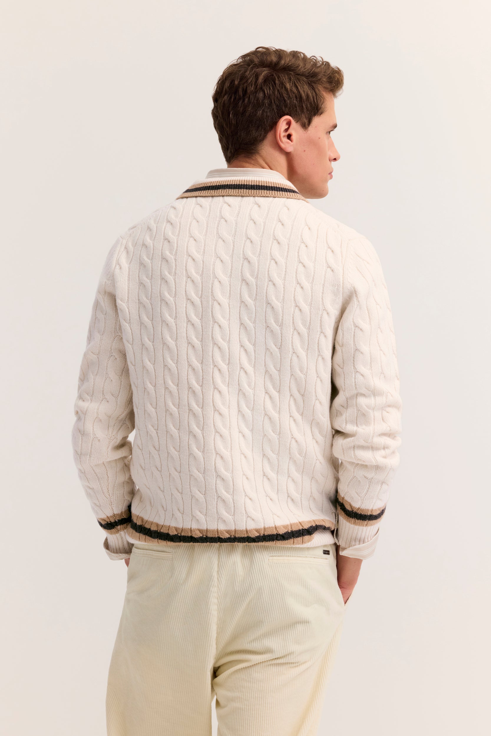 Pullover - Polokragen