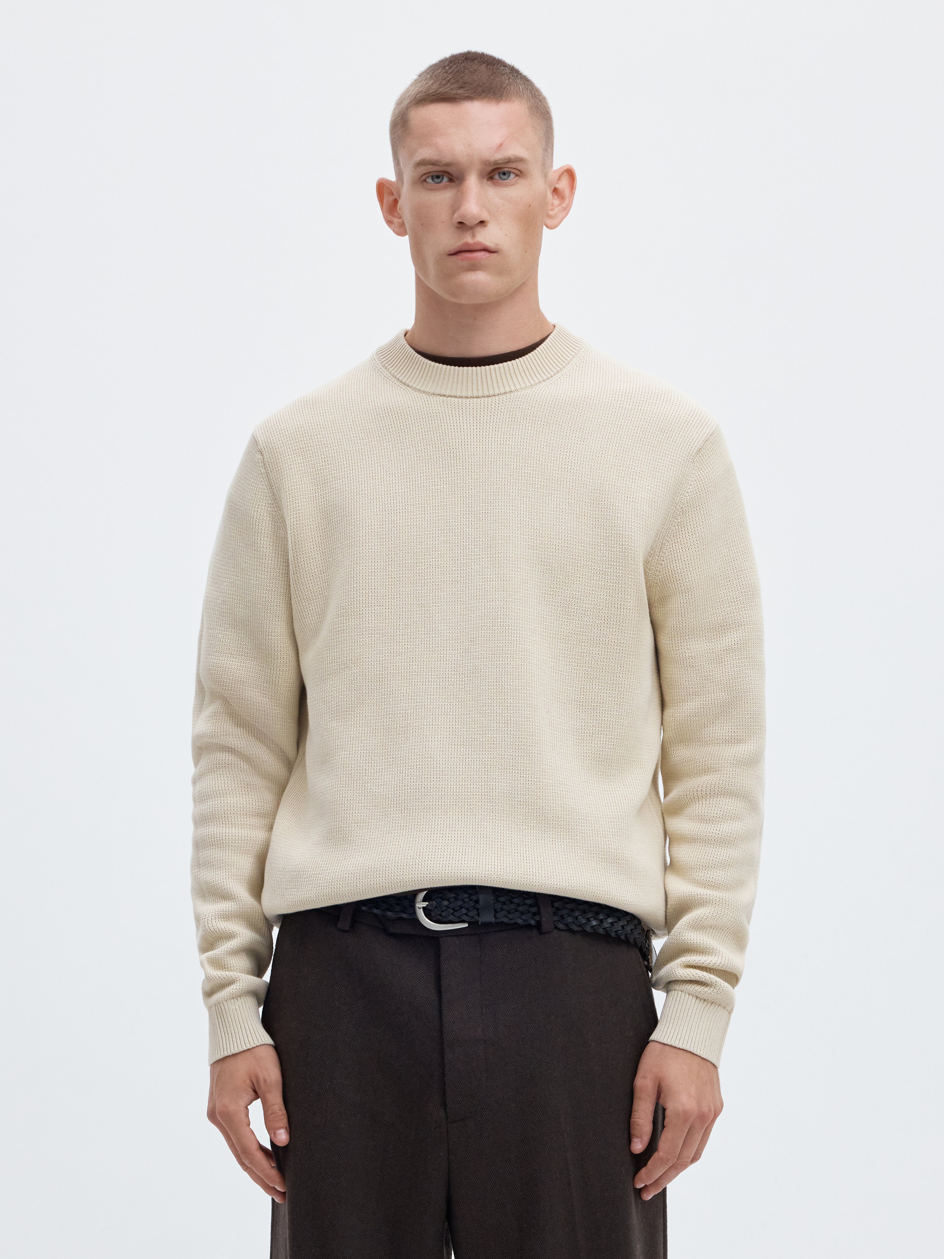 Pullover - Baumwolle - Casual